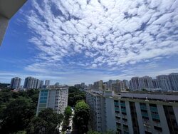 Avenue South Residence (D3), Apartment #457402531